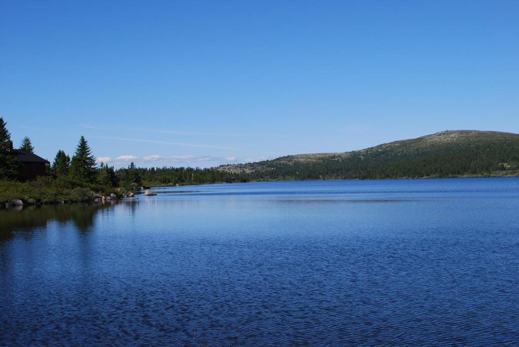 Nordseter Fjellpark, Hyttegrend Luaran gambar
