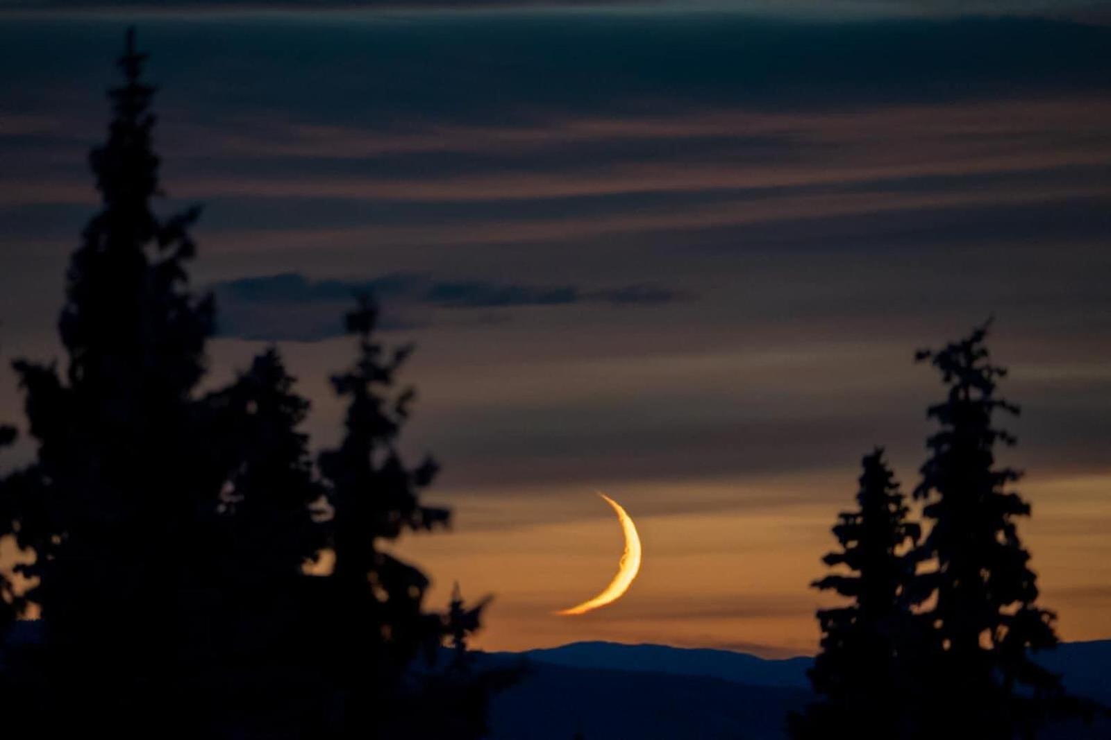 Nordseter Fjellpark, Hyttegrend Luaran gambar