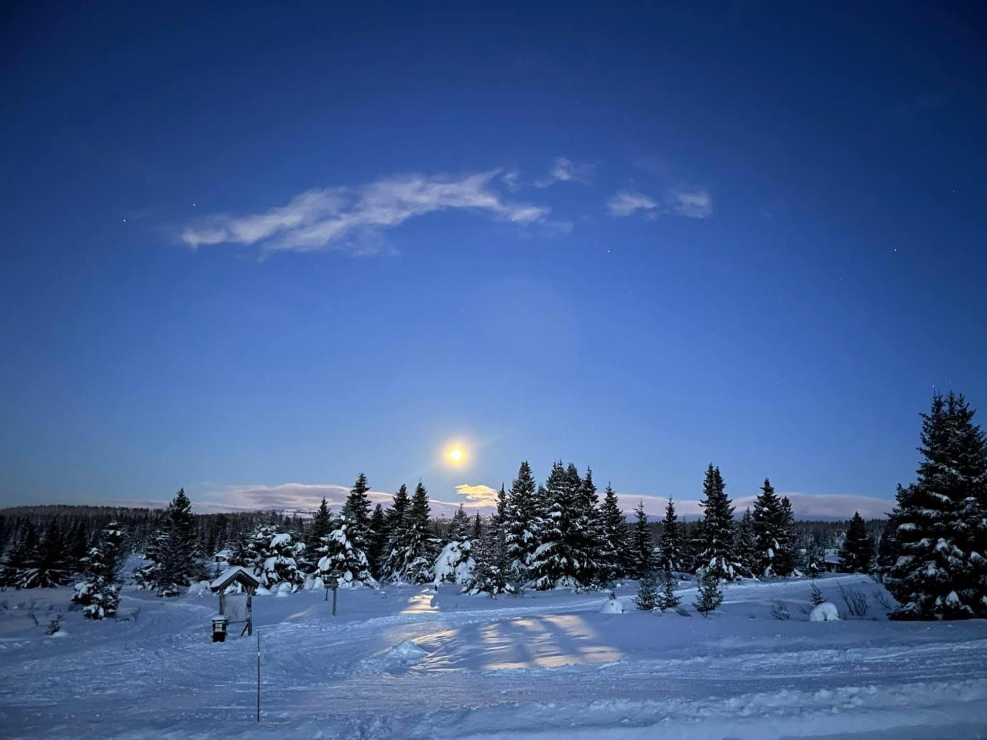 Nordseter Fjellpark, Hyttegrend Luaran gambar