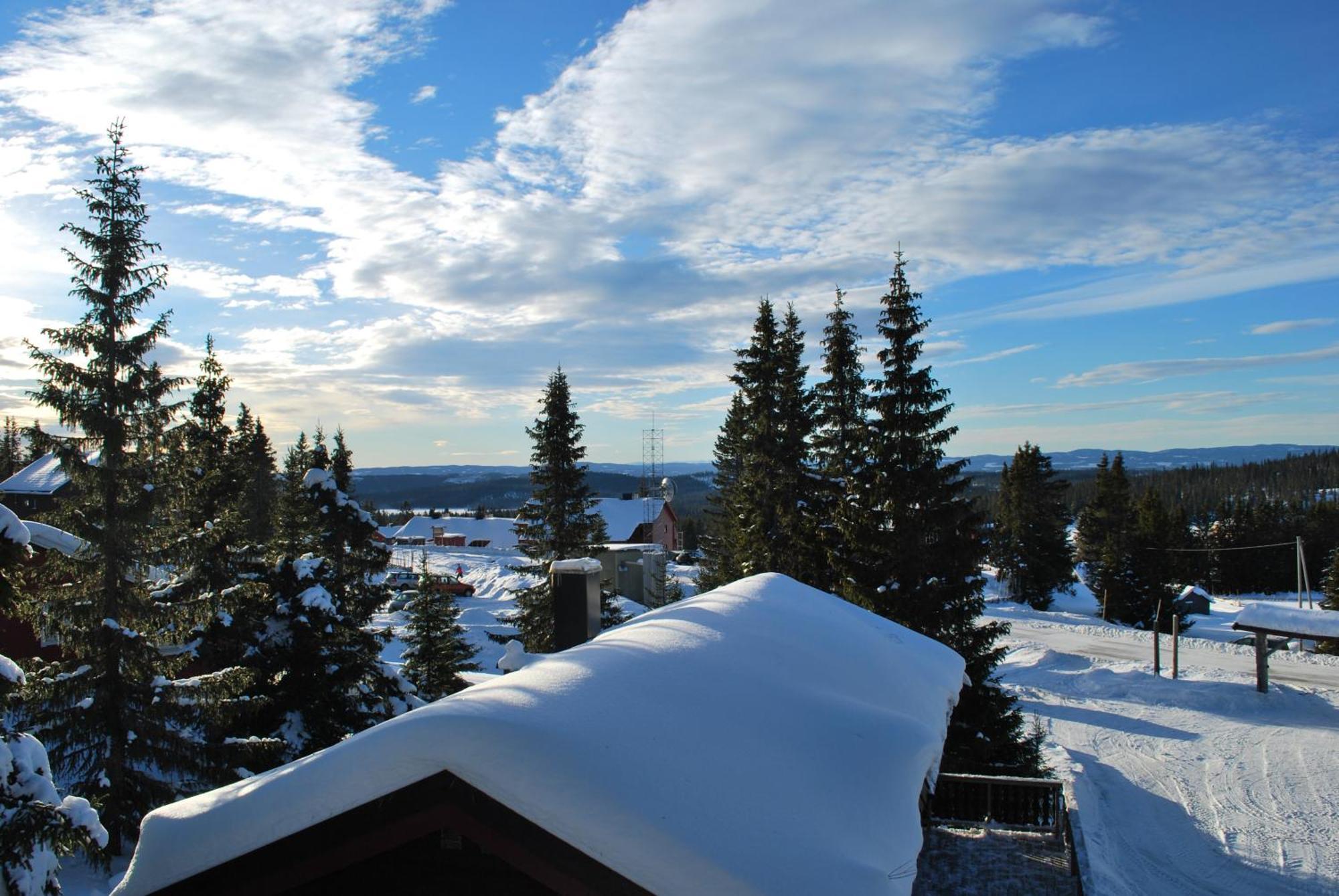 Nordseter Fjellpark, Hyttegrend Luaran gambar