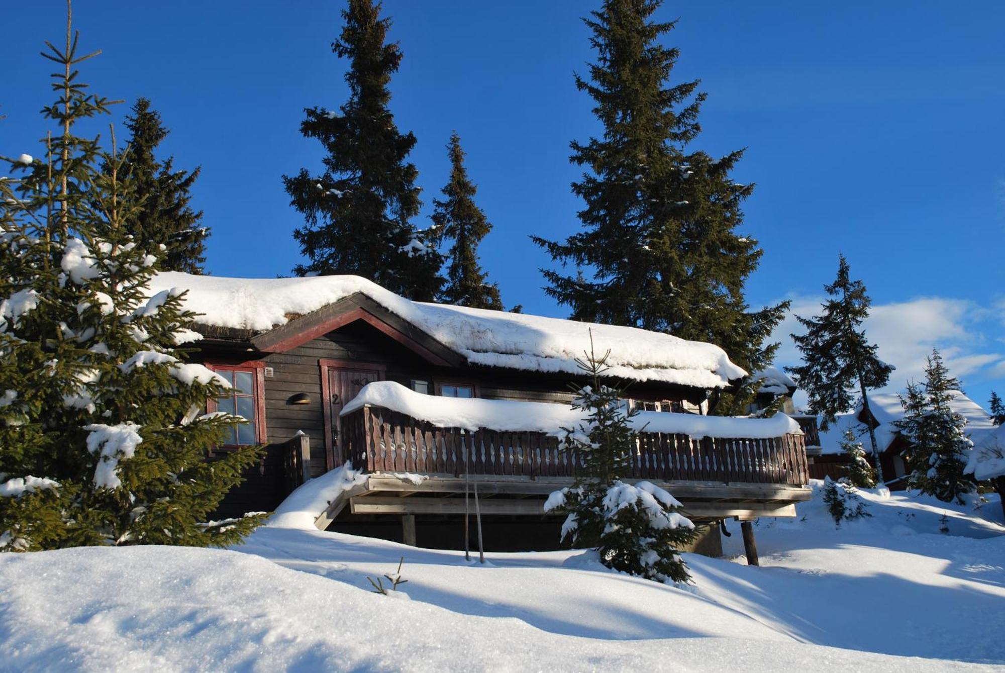 Nordseter Fjellpark, Hyttegrend Luaran gambar