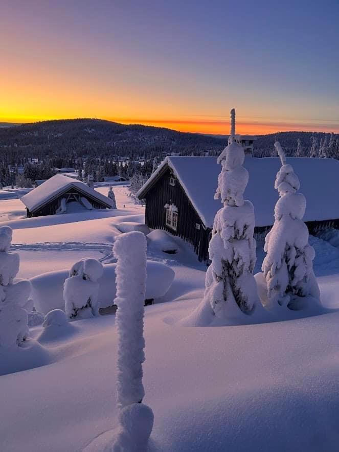 Nordseter Fjellpark, Hyttegrend Bilik gambar